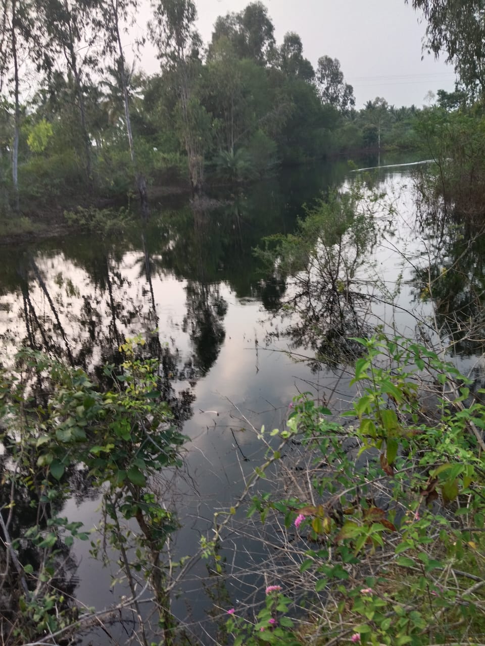 Natural lake within the 54-acre project — serene and inviting