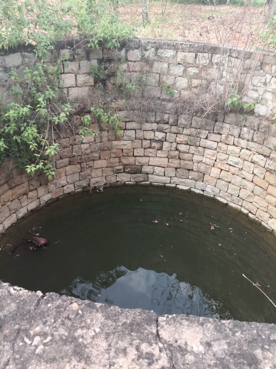 Stone well — one of multiple water sources on site